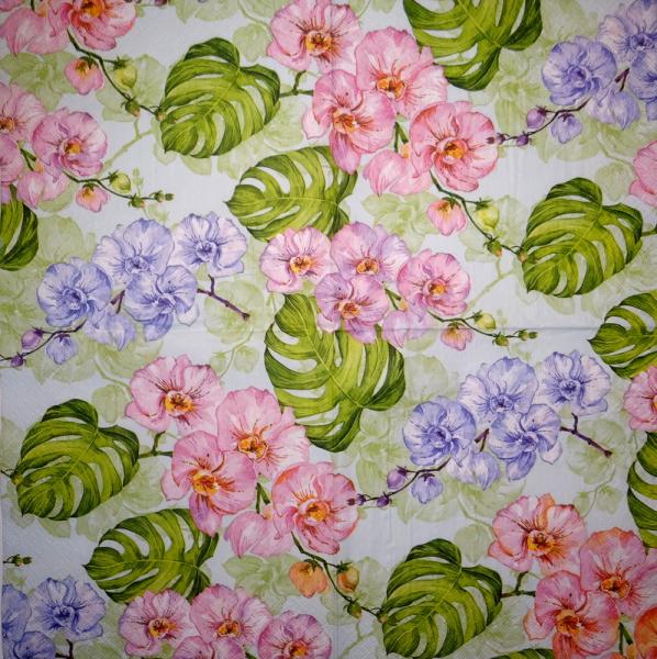 121 Orchids - 3-ply